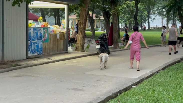 Hà Nội: Bãi xe Công viên Thống Nhất phình to, hồ cấm vẫn có người bơi- Ảnh 9.