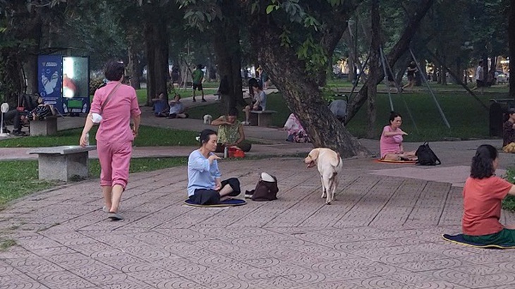 Hà Nội: Bãi xe Công viên Thống Nhất phình to, hồ cấm vẫn có người bơi- Ảnh 8.