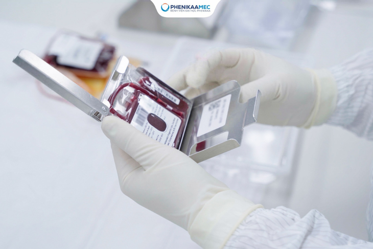 PhenikaaMec tiên phong xây dựng hệ sinh thái tế bào gốc khép kín vì sức khỏe trọn đời- Ảnh 2. PhenikaaMec tiên phong xây dựng hệ sinh thái tế bào gốc khép kín vì sức khỏe trọn đời- Ảnh 2.