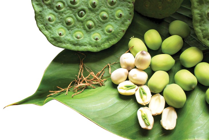 Hạt sen tươi và hạt sen khô, loại nào tốt hơn? - Ảnh 1.
