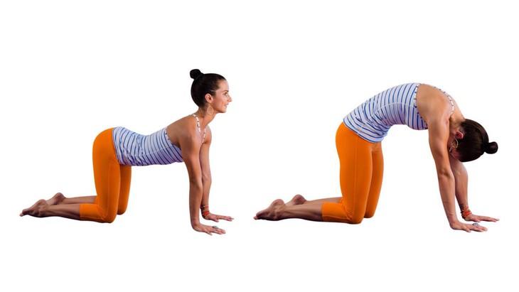 Top 10 tư thế yoga giúp đánh thức cơ thể và tâm trí ngay khi thức dậy - Ảnh 3.