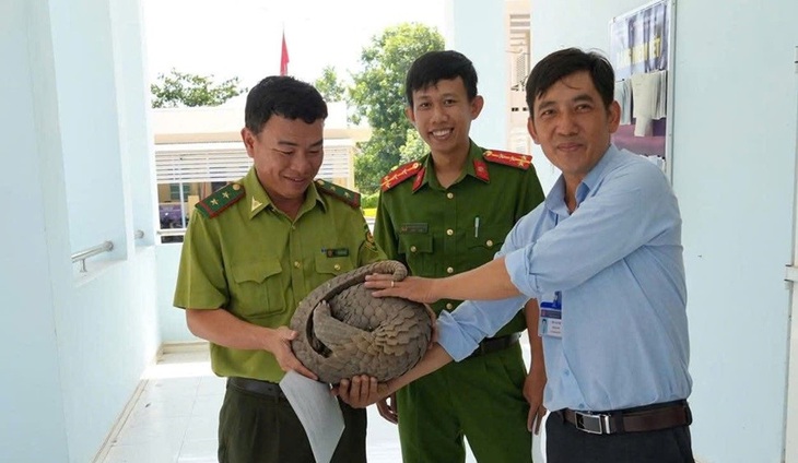 Phát hiện nhiều loài động vật quý hiếm, người dân liền mang về giao nộp cho chính quyền- Ảnh 1. Phát hiện nhiều loài động vật quý hiếm, người dân liền mang về giao nộp cho chính quyền- Ảnh 1.