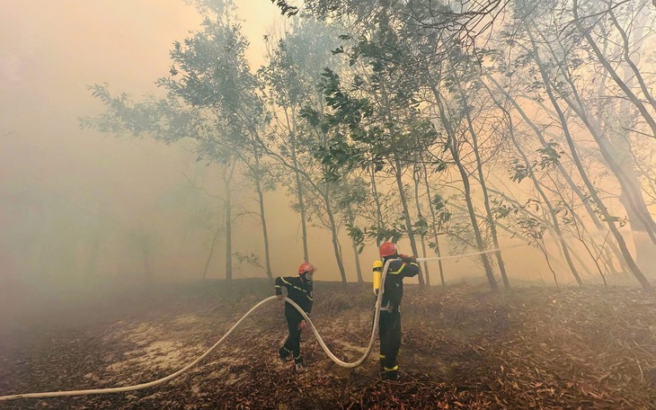 Thủ tướng yêu cầu quyết liệt triển khai các biện pháp cấp bách phòng cháy, chữa cháy rừng- Ảnh 2.