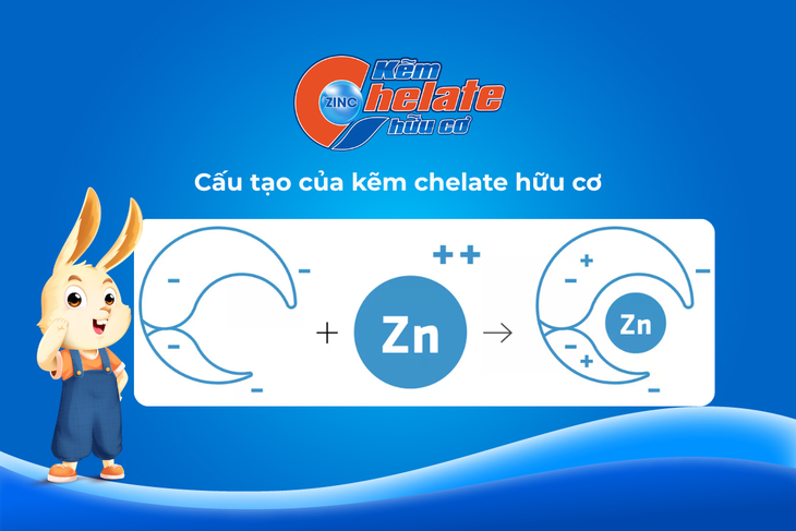 Kẽm Chelate hữu cơ – Giải pháp cho hơn 60% trẻ em Việt Nam thiếu kẽm- Ảnh 2.