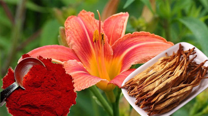 Tác dụng làm đẹp da của hoa hiên, góc nhìn từ dinh dưỡng và khoa học - Ảnh 1.