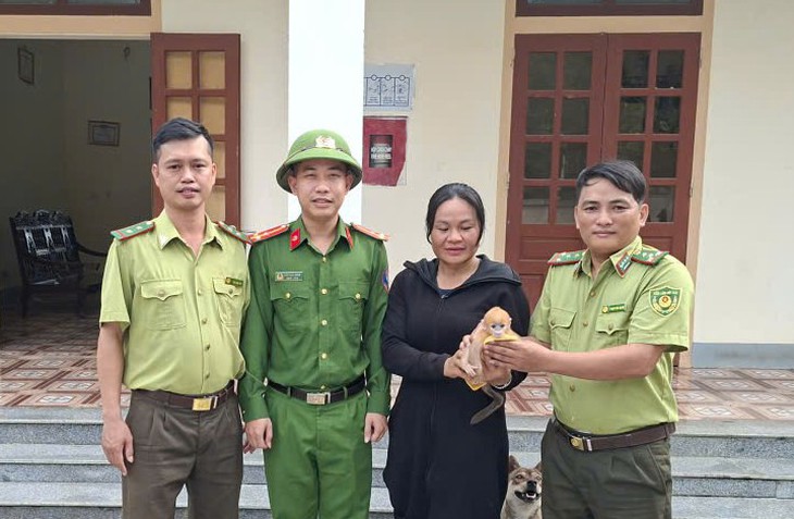 Kịp thời cứu hộ voọc con đi lạc vào vườn nhà dân- Ảnh 1.