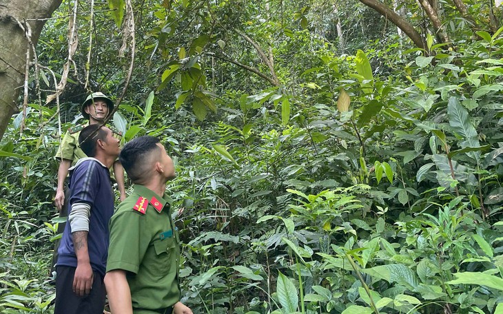 Khởi tố Thào A Sì do đem 5 cá thể rùa đi bán- Ảnh 3.