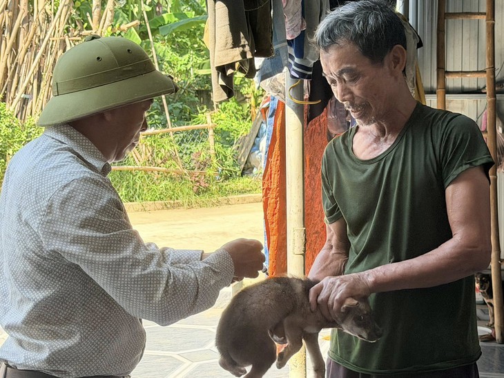 Nguy cơ bệnh dại gia tăng mùa nắng nóng, cần tiêm phòng ngay khi bị chó mèo cắn
- Ảnh 3.