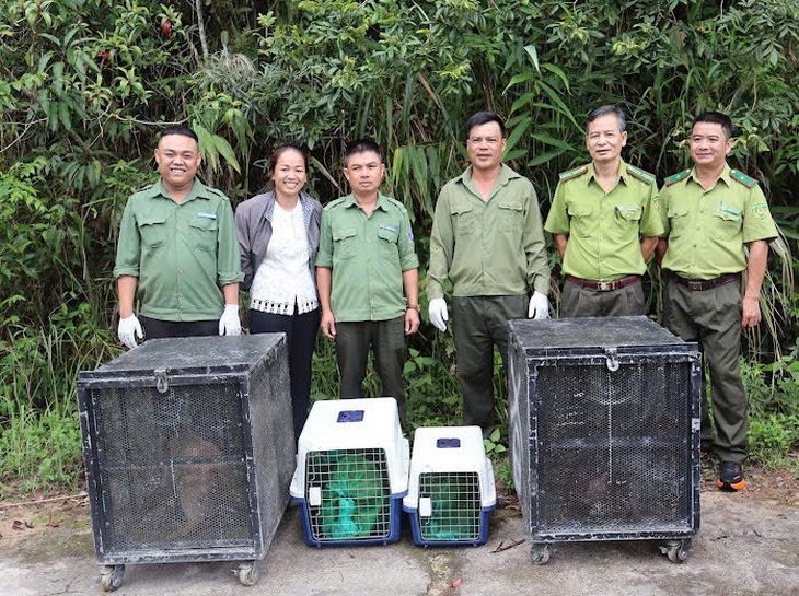 Hình ảnh thú vị về động vật quý hiếm mới được thả về rừng ở Đắk Lắk- Ảnh 1.