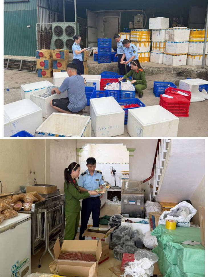 Khởi tố Giám đốc bán hàng chục nghìn sản phẩm thực phẩm giả- Ảnh 2.