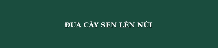 Đưa khoa học vào ruộng bậc thang, hành trình trồng sen trên núi của những ‘nhà khoa học nông dân’- Ảnh 1.