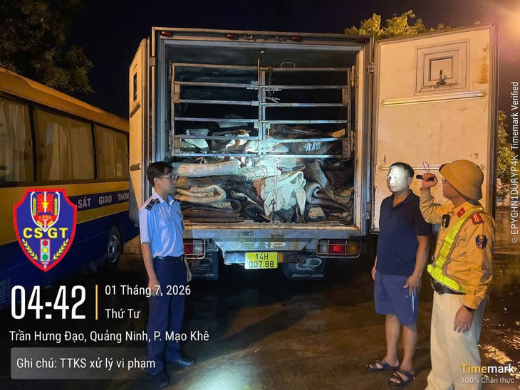 CSGT Quảng Ninh phát hiện gần 9 tấn da trâu muối không rõ nguồn gốc - Ảnh 1.