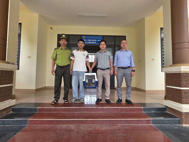 Đi thăm rẫy, người dân bất ngờ phát hiện 'vị khách' quý hiếm được ưu tiên bảo vệ nghiêm ngặt- Ảnh 1.