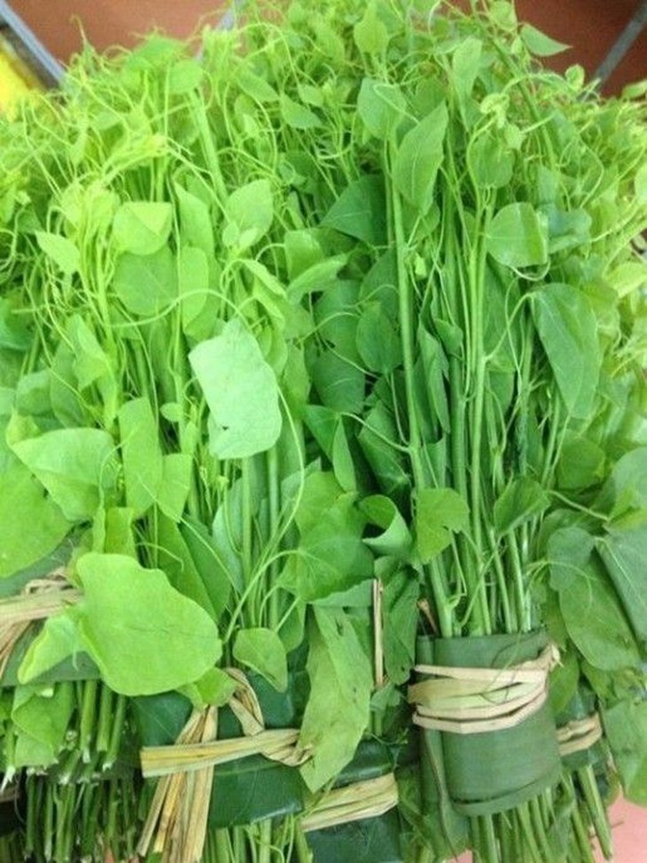 Tác dụng chữa bệnh bất ngờ của rau bò khai - Ảnh 1.