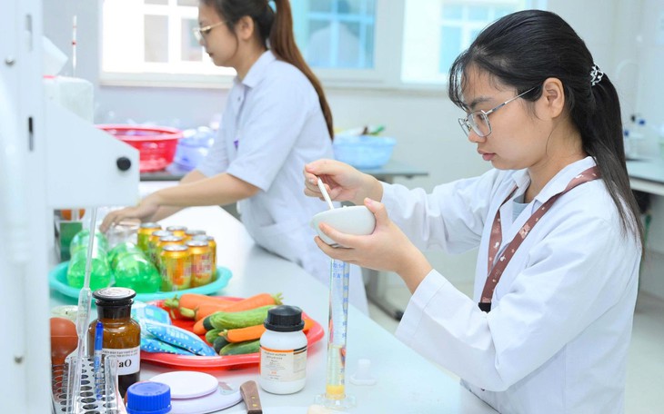 Đại học Huế công bố ngưỡng đảm bảo chất lượng đầu vào, hai ngành thuộc khối sức khỏe dẫn đầu- Ảnh 2.
