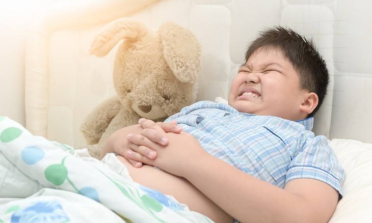 Vì sao có trẻ thừa cân nhưng vẫn thiếu vi chất dinh dưỡng?- Ảnh 1.