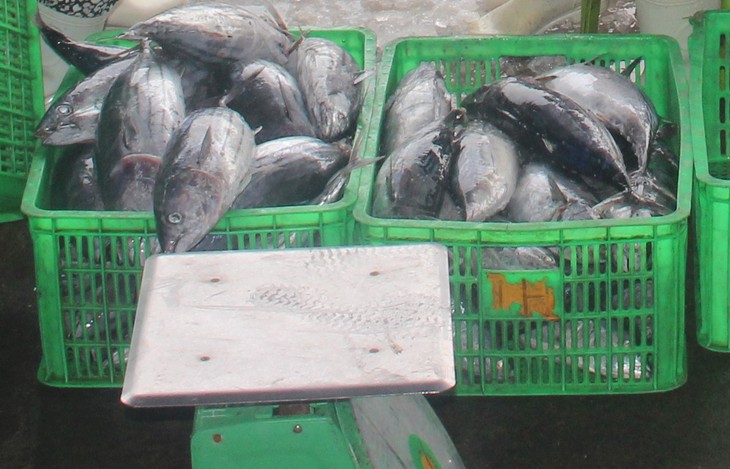 Làng đảo bình yên được nhiều người đến ‘chữa lành’, vé tàu ra thăm chỉ 5 nghìn đồng- Ảnh 4.