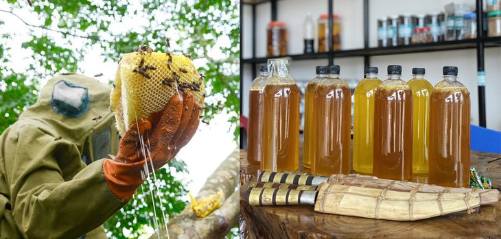 Mẹo phân biệt mật ong thật và giả đơn giản ngay tại nhà- Ảnh 1.