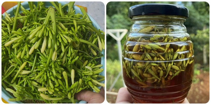 4 tác dụng của hoa đu đủ đực ngâm mật ong - Ảnh 1.