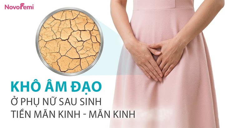 Viên đặt Novofemi Advanced Night Repair - Giải pháp hỗ trợ cải thiện khô âm đạo khoa học ở phụ nữ sau sinh, mãn kinh - Ảnh 1.