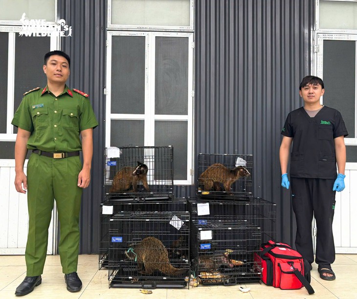6 cá thể động vật hoang dã mất chân, mù mắt... được giải cứu- Ảnh 1.