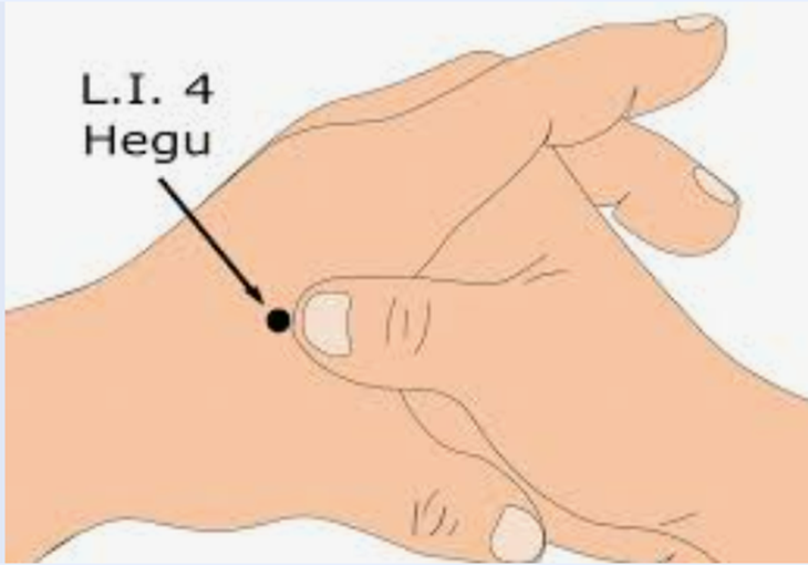 Huyệt Hợp Cốc là gì, vì sao là huyệt giảm đau quan trọng trong y học cổ truyền - Ảnh 1.