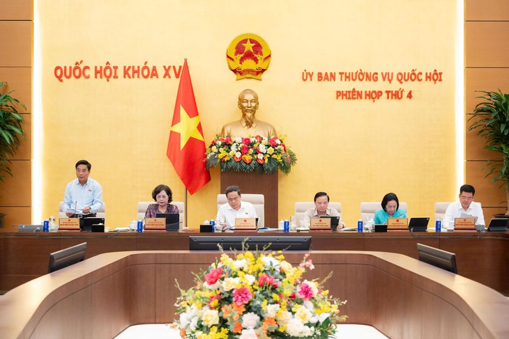 Cử tri lo ngại hàng giả, điểm thi Toán bất thường và tai nạn đường thủy- Ảnh 1.