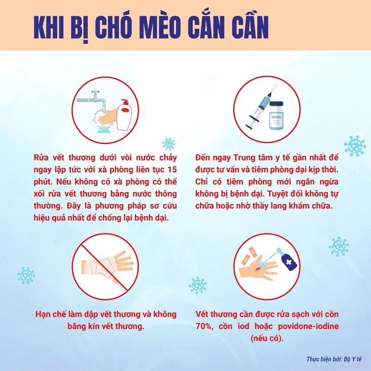 Chủ quan sau khi bị chó cắn, thêm một người tử vong nghi do bệnh dại ở Nghệ An- Ảnh 2.