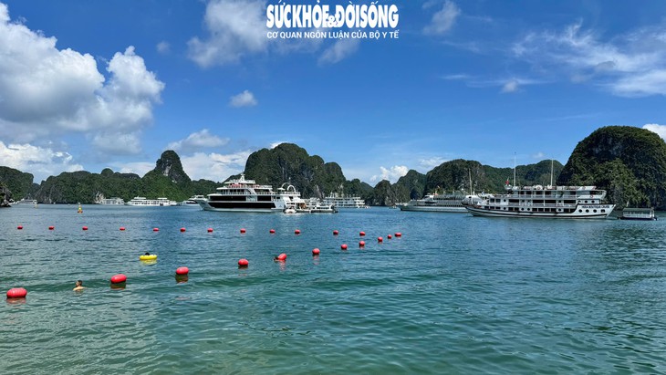 Điểm tựa y tế cho du khách tham quan Vịnh- Ảnh 4.
