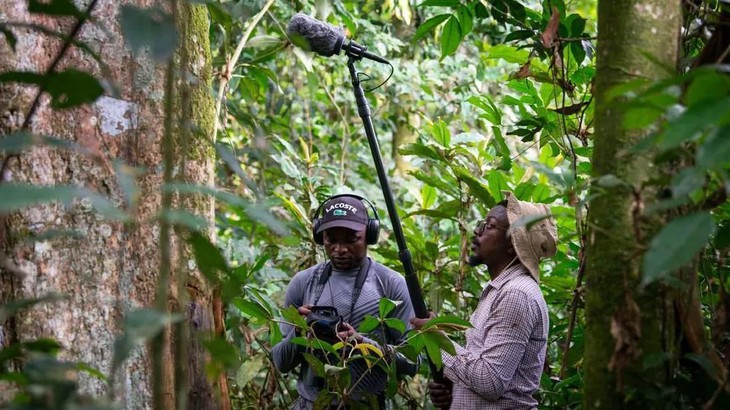 Phát hiện lòai khỉ mới Colobus congoensis tại Công viên Quốc gia Lomami ở Congo - Ảnh 3.