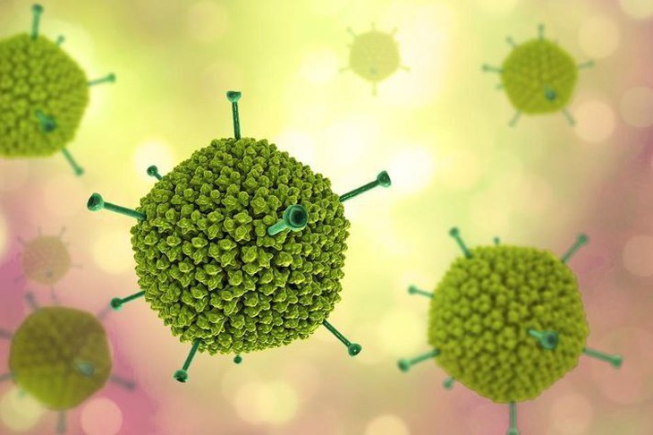 Biểu hiện khi trẻ mắc Adenovirus: Cha mẹ cần nhận biết sớm để phòng biến chứng- Ảnh 1.