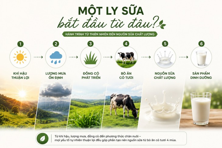 Sữa từ bò ăn cỏ tươi 4 mùa có gì đặc biệt mà được đánh giá cao?- Ảnh 1.