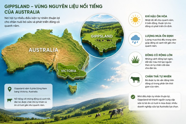 Sữa từ bò ăn cỏ tươi 4 mùa có gì đặc biệt mà được đánh giá cao?- Ảnh 2.