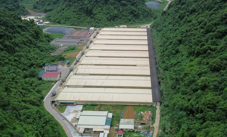 Thêm hai nạn nhân tử vong trong vụ tai nạn trang trại lợn Dabaco Thanh Hóa- Ảnh 1.