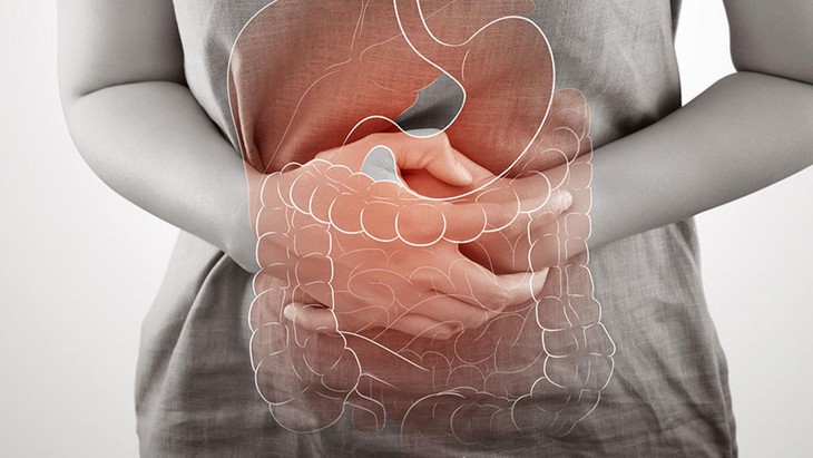 Vạch trần nguyên nhân viêm ruột mãn tính qua mô hình ruột nhân tạo từ Chip - Ảnh 1.