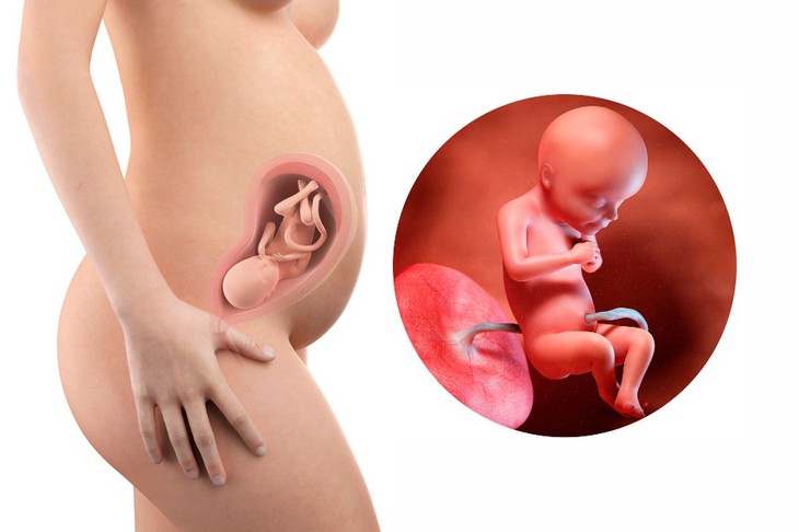Sinh con to chưa chắc đã tốt- Ảnh 1.