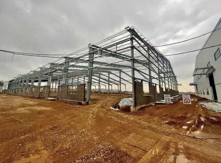Khởi tố giám đốc sau vụ công nhân rơi từ mái nhà xưởng cao hơn 12m tử vong- Ảnh 1.
