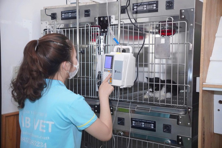 Từ những cuộc giải cứu mèo con bị bỏ rơi đến bài học về trách nhiệm với thú cưng- Ảnh 1.