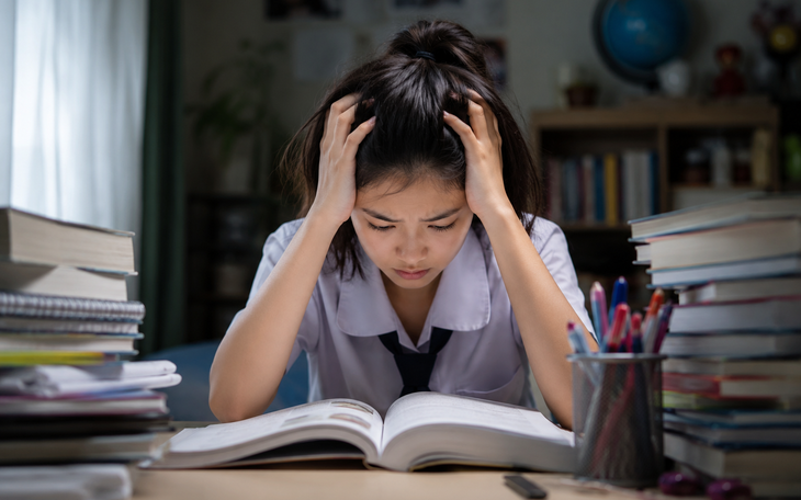 Phụ huynh Hà Nội sắp được 'giám sát' bếp ăn bán trú của con qua điện thoại- Ảnh 2.