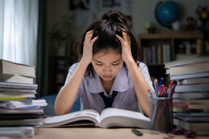 Áp lực học tập ảnh hưởng đến sức khỏe tâm thần học sinh như thế nào? - Ảnh 1.