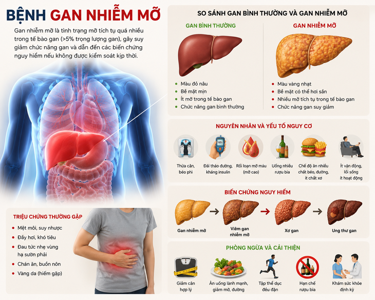 Cách cải thiện gan nhiễm mỡ độ 1 không dùng thuốc - Ảnh 1.