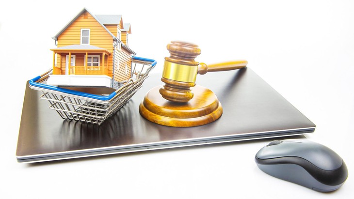 Chính phủ thông qua hồ sơ hai dự án Luật Đấu giá tài sản (sửa đổi) và Luật Phát triển đô thị- Ảnh 1.