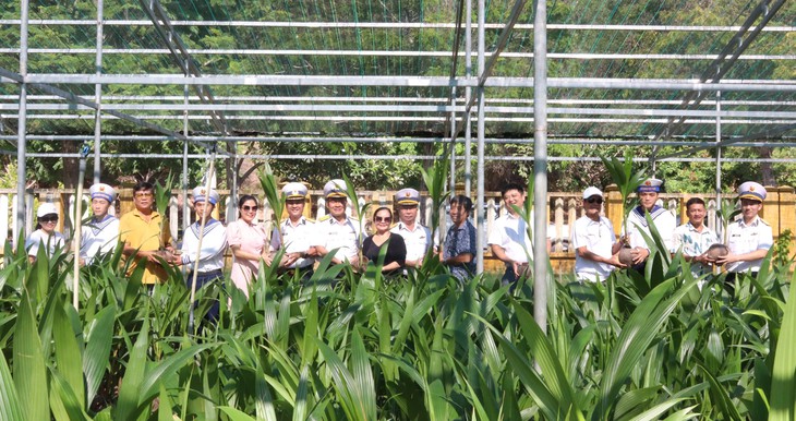Thêm 8.000 cây dừa cho chương trình 'Xanh hóa Trường Sa'- Ảnh 1.