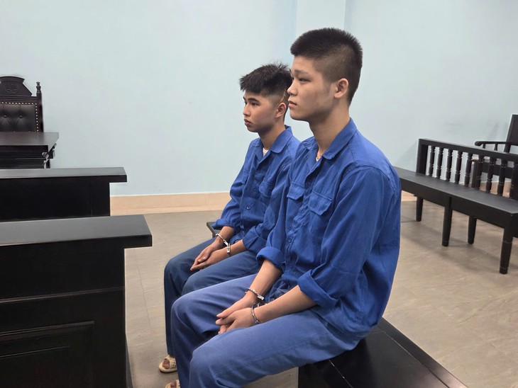 2 thanh niên 'thông chốt, đâm trọng thương cảnh sát dịp sự kiện A80 lĩnh án- Ảnh 1.