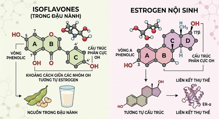 Nam giới uống sữa đậu nành có bị ảnh hưởng chất lượng tinh trùng? - Ảnh 1.