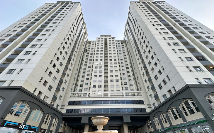 Đề xuất Luật Phát triển đô thị: Phân quyền mạnh để tạo đột phá cho Thành phố Hồ Chí Minh - Ảnh 5.