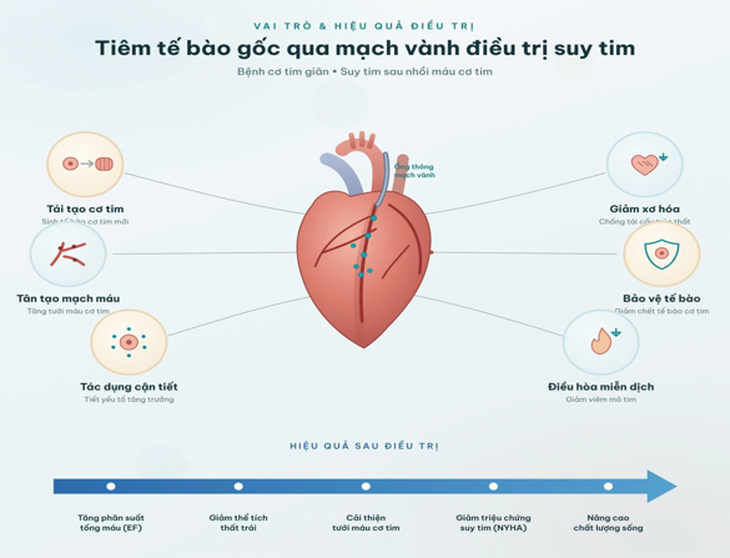 Ứng dụng tế bào gốc tự thân điều trị suy tim ở người trẻ- Ảnh 2.