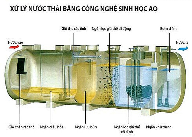 - Ảnh 1.