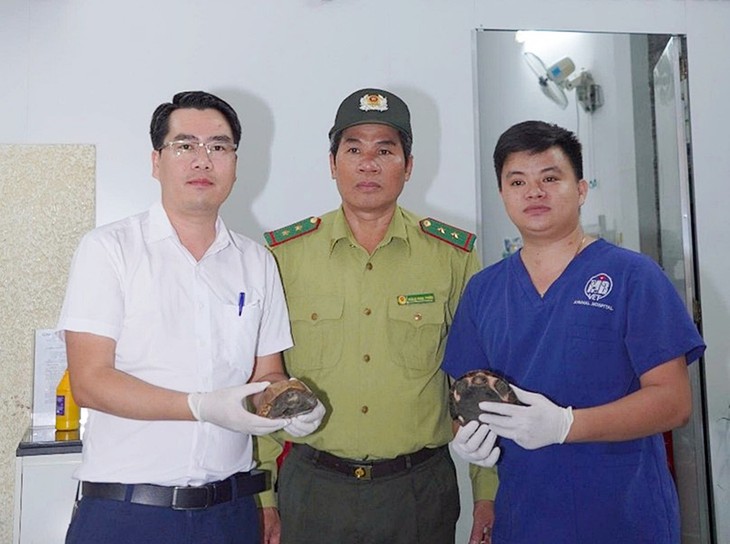 Cứu sống 2 chú rùa quý hiếm, người dân tự nguyện giao kiểm lâm thả về rừng - Ảnh 1.