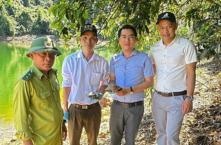 Cứu sống 2 chú rùa quý hiếm, người dân tự nguyện giao kiểm lâm thả về rừng - Ảnh 2.